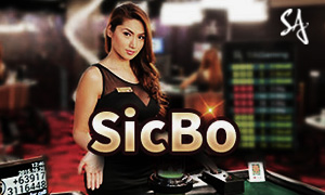 559bet bac bo cassino Jogue online